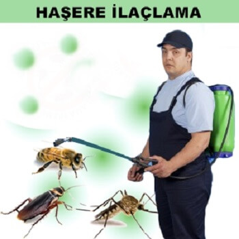 Mecitözü Böcek İlaçlama